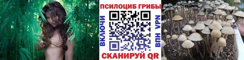 Псилоцибиновые грибы MAGIC MUSHROOMS Бакал